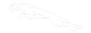 Jaguar logo